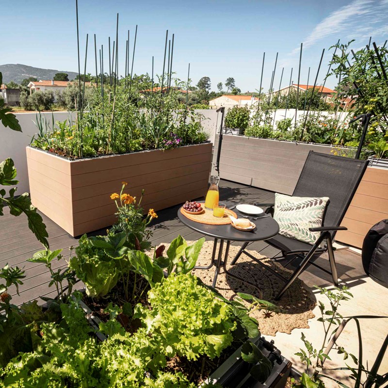 CGARDEN Natureza