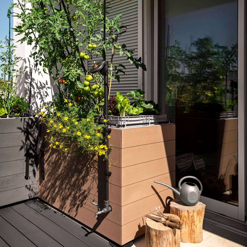 CGARDEN® es una solución revolucionaria para un huerto en casa.