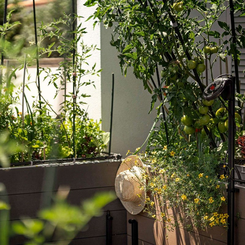 cgarden ambiente