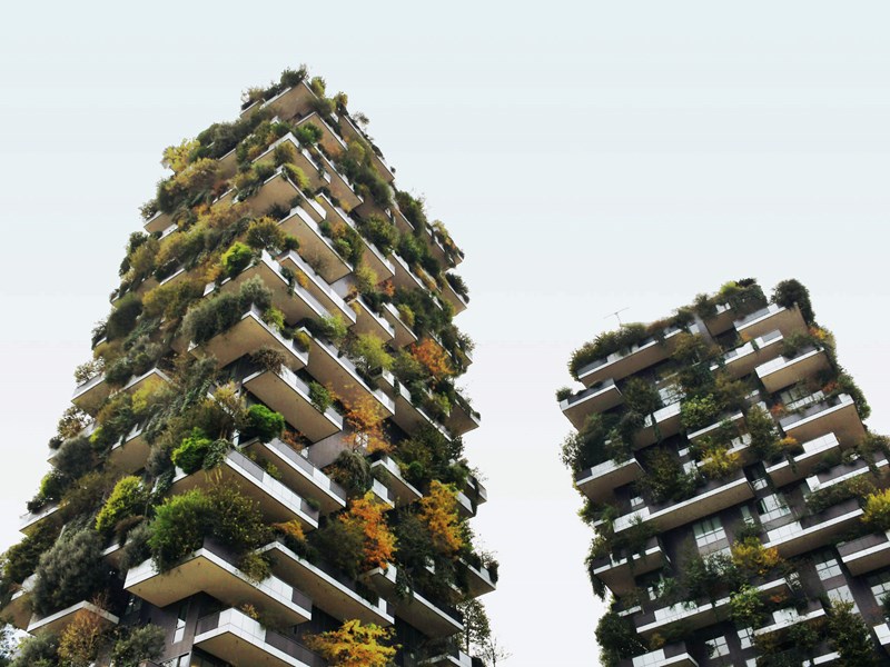 CGARDEN Terra