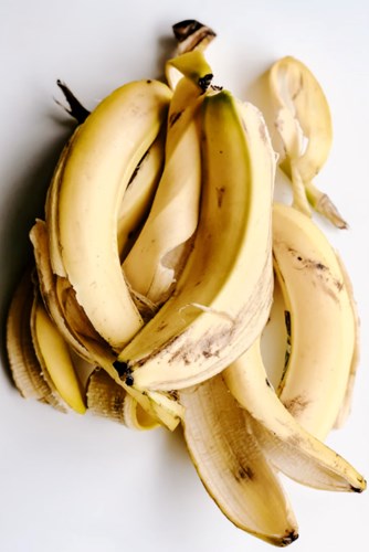 fertilizantes-natural-cascas-de-banana