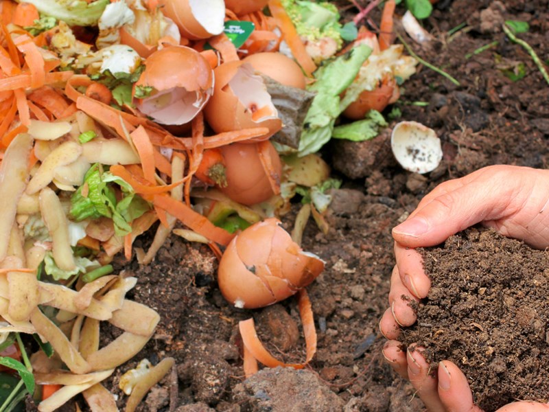 3 Fertilizantes Caseiros e Naturais